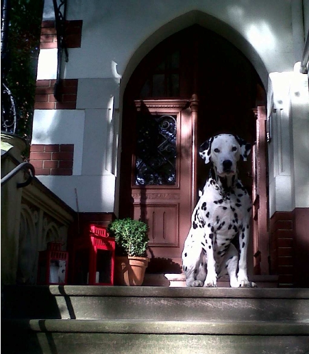 Maskottchen der Challenge Street View (Foto Thomas Donker)